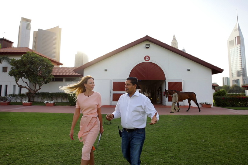Zabeel Stable ОАЕ
